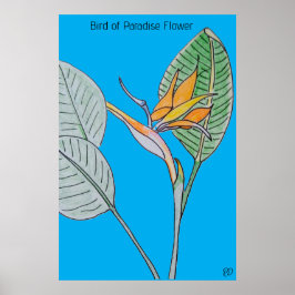 Blume des Paradieses Poster
