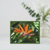 Blume des Paradieses Postkarte (Stehend Vorderseite)