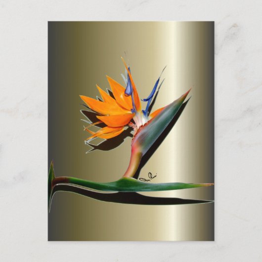 Blume des Paradieses Postkarte (Vorderseite)