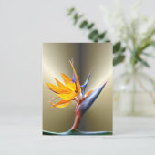 Blume des Paradieses Postkarte (Stehend Vorderseite)