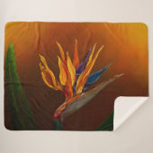 Blume des Paradieses Sherpadecke (Vorderseite (Horizontal))