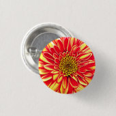 Blume des Riesenorangen und des Goldenen Gelben St Button (Vorne & Hinten)