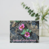 Blume des rosa Affen, Felsen von Lava, Mondkrater Postkarte (Stehend Vorderseite)