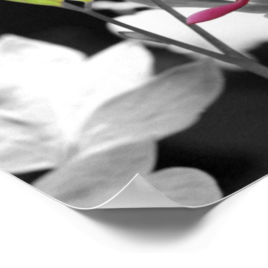 Blume des rosa blutenden Herzens Poster (Ecke)