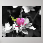 Blume des rosa blutenden Herzens Poster (Vorne)