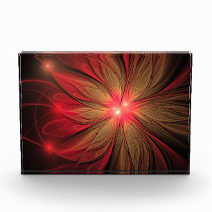 Blume des roten Fraktals Fotoblock
