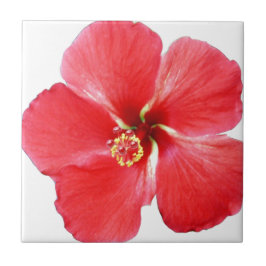 Blume des Roten Hawaiianischen Hibiskus Fliese