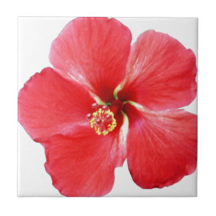 Blume des Roten Hawaiianischen Hibiskus Fliese