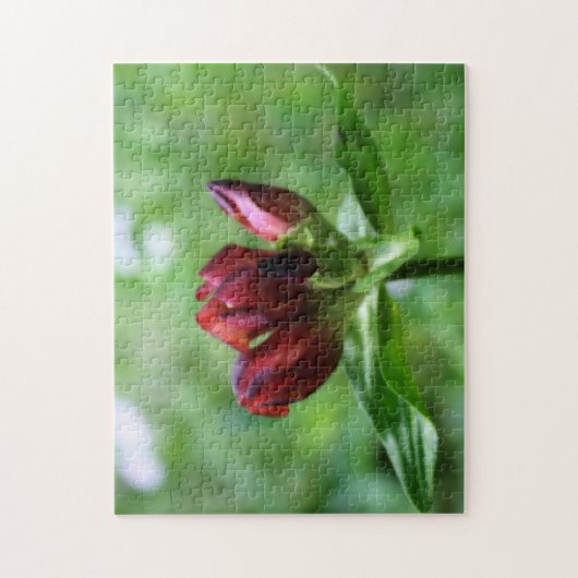 Blume des roten Zahnfleisches im Blut Puzzle (Vertikal)