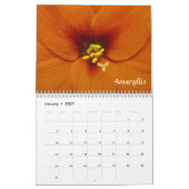 Blume des Saisonkalenders Kalender (Jan 2027)