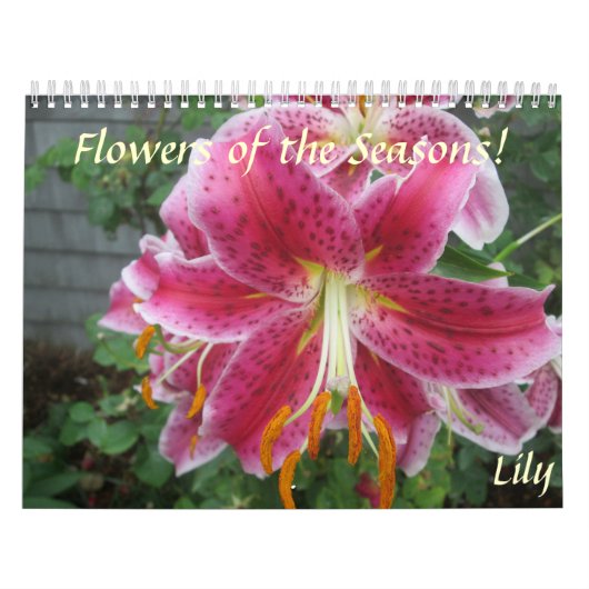Blume des Saisonkalenders Kalender (Titelbild)