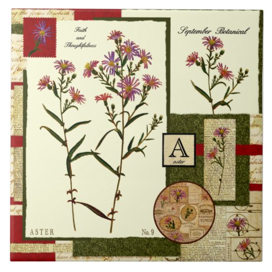 Blume des Septembers Fliese (Vorderseite)