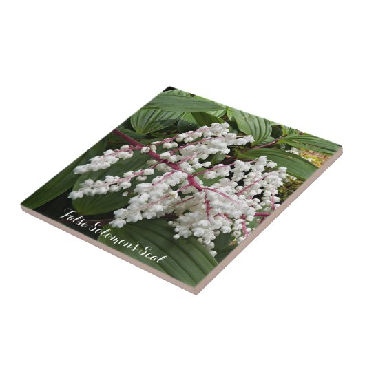 Blume des Siegels von False Solomon Keramik Tile Fliese (Seite)