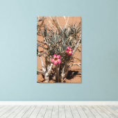 Blume des Teufels nach Regen in einer Wüste Leinwanddruck (Insitu (Holzboden))