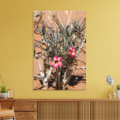 Blume des Teufels nach Regen in einer Wüste Leinwanddruck (Insitu (Wohnzimmer))