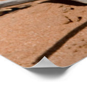 Blume des Teufels nach Regen in einer Wüste Poster (Ecke)