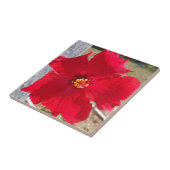 Blume des tropischen Hibiskus Fliese (Seite)