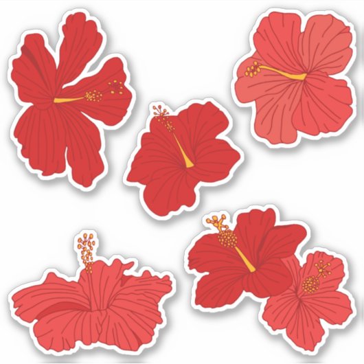 Blume des tropischen Hibiskus in Rot und Pfirsich Aufkleber (Vorderseite)