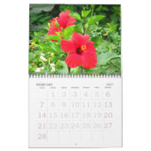 Blume des tropischen Hibiskus Kalender (Feb 2027)