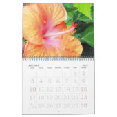 Blume des tropischen Hibiskus Kalender (Jan 2027)