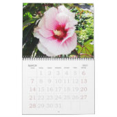 Blume des tropischen Hibiskus Kalender (Mär 2027)