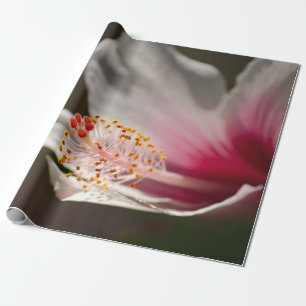 Blume des tropischen Rosa und des weißen hawaiiani Geschenkpapier