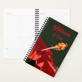 Blume des tropischen Roten Hibiskus auf Schwarz in Planer (Anzeige)