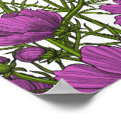 Blume des violetten Kosmos Poster (Ecke)