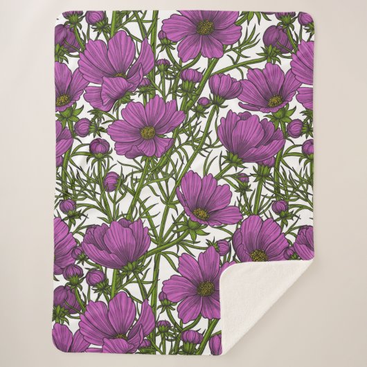 Blume des violetten Kosmos Sherpadecke (Vorderseite)