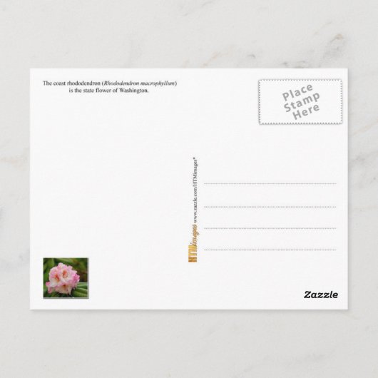 Blume des Washingtoner Staat: Küste Rhododendron Postkarte (Rückseite)