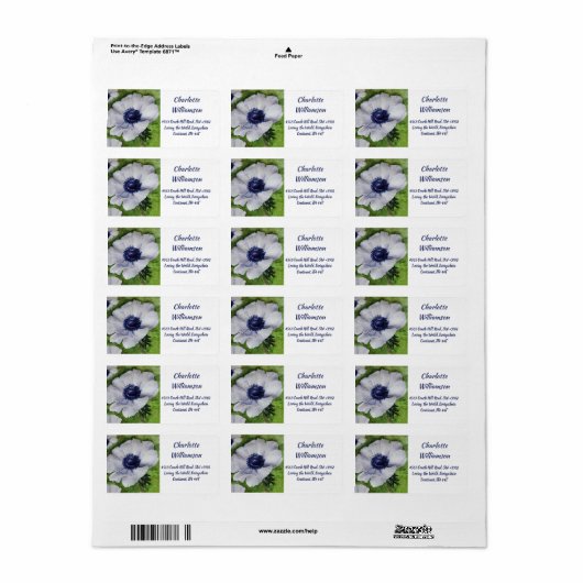 Blume des weißen Anemons in Aquarellfarbe Adressaufkleber (Vorne)