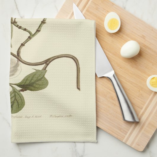 Blume des weißen Dogwoods Handtuch (Viertel Falte)