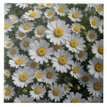 Blume des Weißen Feverts