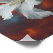 Blume des weißen Hibiskus auf dem dramatischen Him Poster (Ecke)