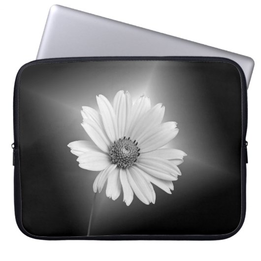 Blume des weißen Kosmos auf schwarz Laptopschutzhülle (Vorderseite)