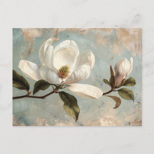 Blume des Weißen Magnolien Vintag Postkarte (Vorderseite)