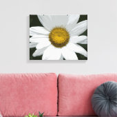 Blume des weißen und gelben Daisy Leinwanddruck (Insitu (Wohnzimmer))