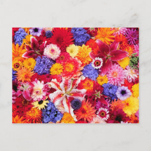 Blume Design von Dalhia, Oriental Lilies, Postkarte
