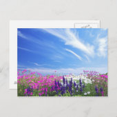 Blume Dianthus und Salvia Postkarte (Vorne/Hinten)