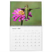 Blume, die Hummingbirds Calendar anziehen Kalender (Jan 2027)