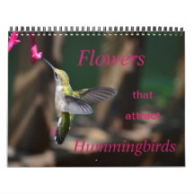 Blume, die Hummingbirds Calendar anziehen