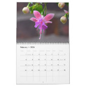 Blume, die Hummingbirds Calendar anziehen Kalender (Feb 2026)