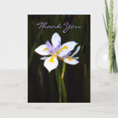 Blume: Dietes Dankeskarte (Vorderseite)