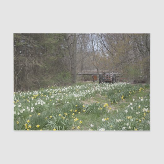 Blume "Dilapidated Farm Gebäude" Seidenpapier (Vorderseite)