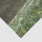 Blume "Dilapidated Farm Gebäude" Seidenpapier (Ausschnitt)