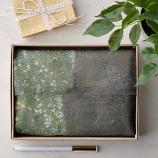 Blume "Dilapidated Farm Gebäude" Seidenpapier (Geschenk)