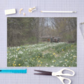 Blume "Dilapidated Farm Gebäude" Seidenpapier (Handwerk)