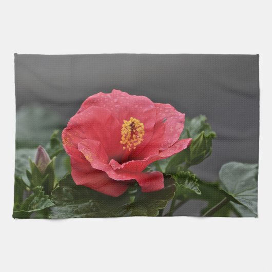 Blume Diwanbett Geschirrtuch (Horizontal)