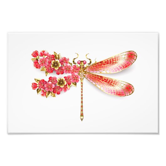 Blume Dragonfly mit Schmucksakura Fotodruck (Vorne)