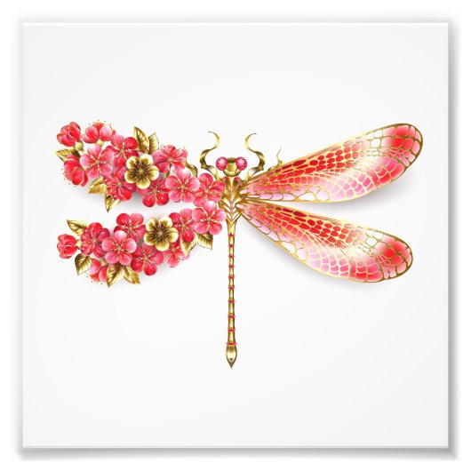 Blume Dragonfly mit Schmucksakura Fotodruck (Vorne)